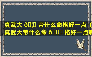 真武大 🦅 帝什么命格好一点（真武大帝什么命 🐛 格好一点呢）